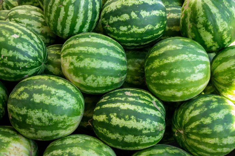 Тарвузнинг инсон организми учун фойдали хусусиятлари?