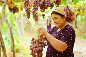 Busty qiz katta xorozlar tomonidan becerdin oladi