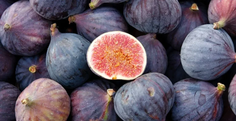 Anjirning foydali jihatlari va qanday sharoitda yetishtirishni bilasizmi?