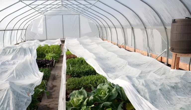 Qishloq xo‘jaligi ekinlarini sovuq havodan saqlash uchun nimalar qilish kerak