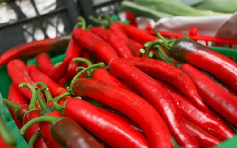 Yod aralashmasi: qalampir hosildorligini oshirishning oddiy va samarali usuli