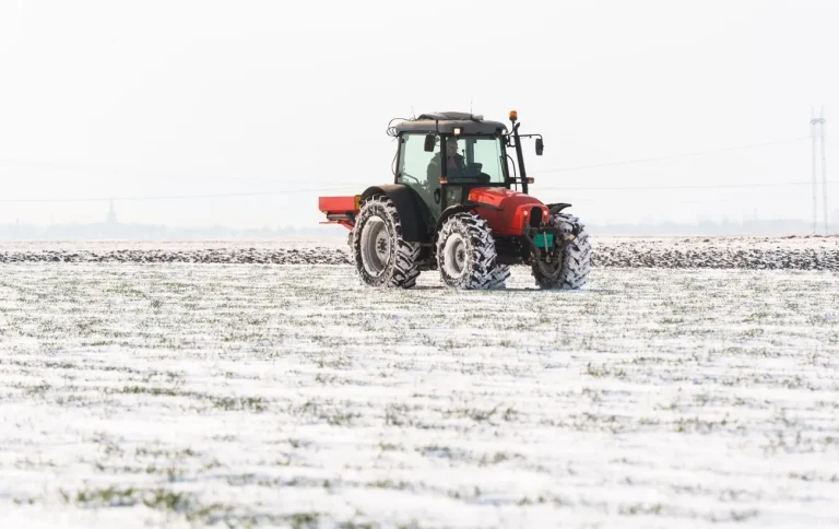 Qish faslining birinchi tongi muborak!