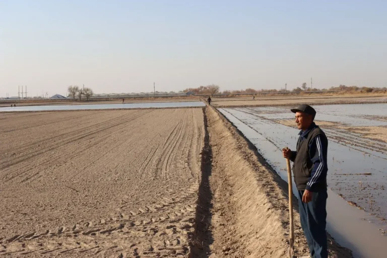 Qishda dalalar nega sug‘oriladi? Bu jarayon nima deb ataladi?