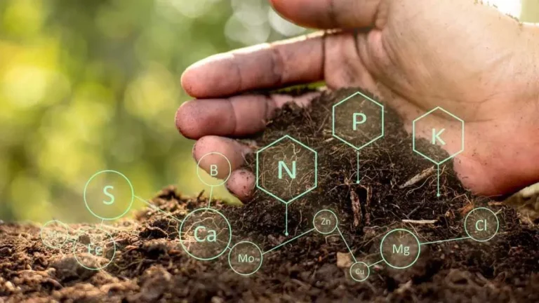 5-dekabr — Butunjahon Tuproq Kuni!