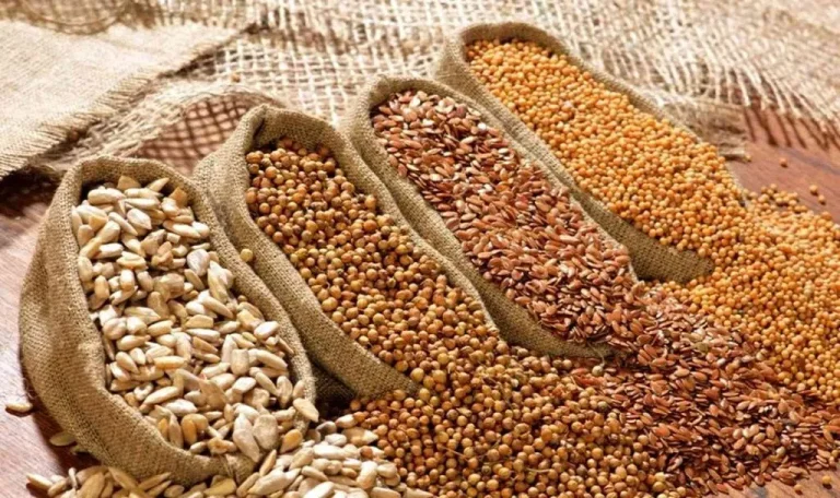 Qanday urug‘ turlari bor? — Dehqonlar uchun qisqa qo‘llanma