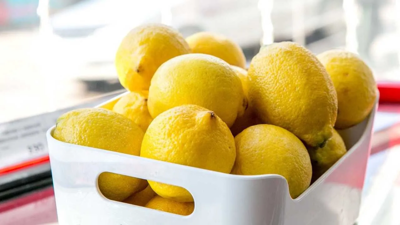 O‘zbekiston limon eksportini 25 foizga oshirdi